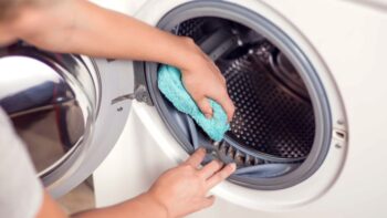 Як очистити пральну машину від грибка та плісняви